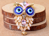 Cute Owl Luxury Key Ring Holder